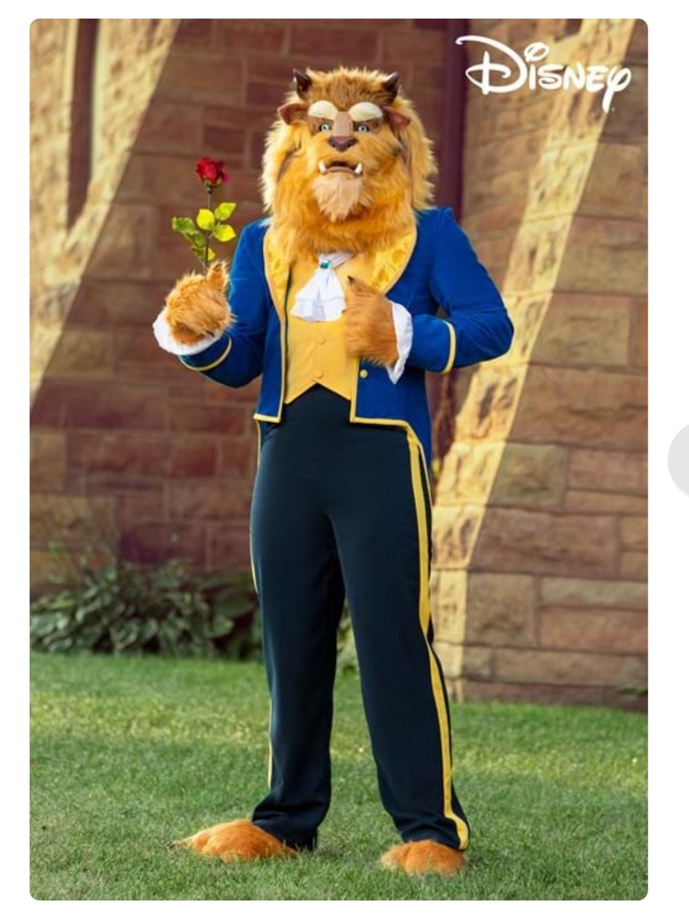 BEAST costume from Disney Beauty and the Beast